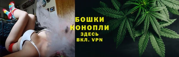 ПСИЛОЦИБИНОВЫЕ ГРИБЫ Алексеевка