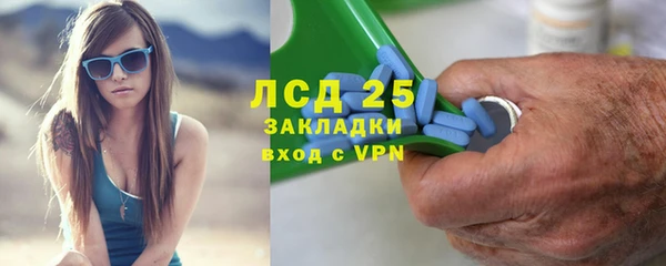 a pvp Аркадак