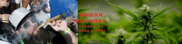 бошки Арсеньев